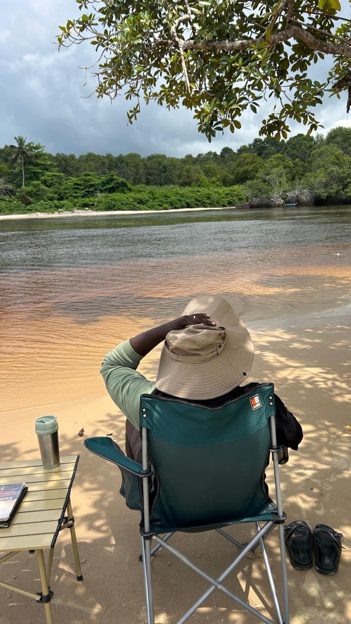 Visitante sentado perante a água e a margem florestada